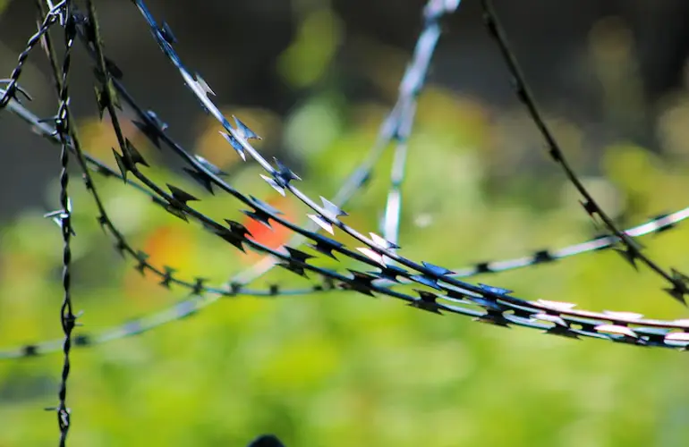 concertina-wire